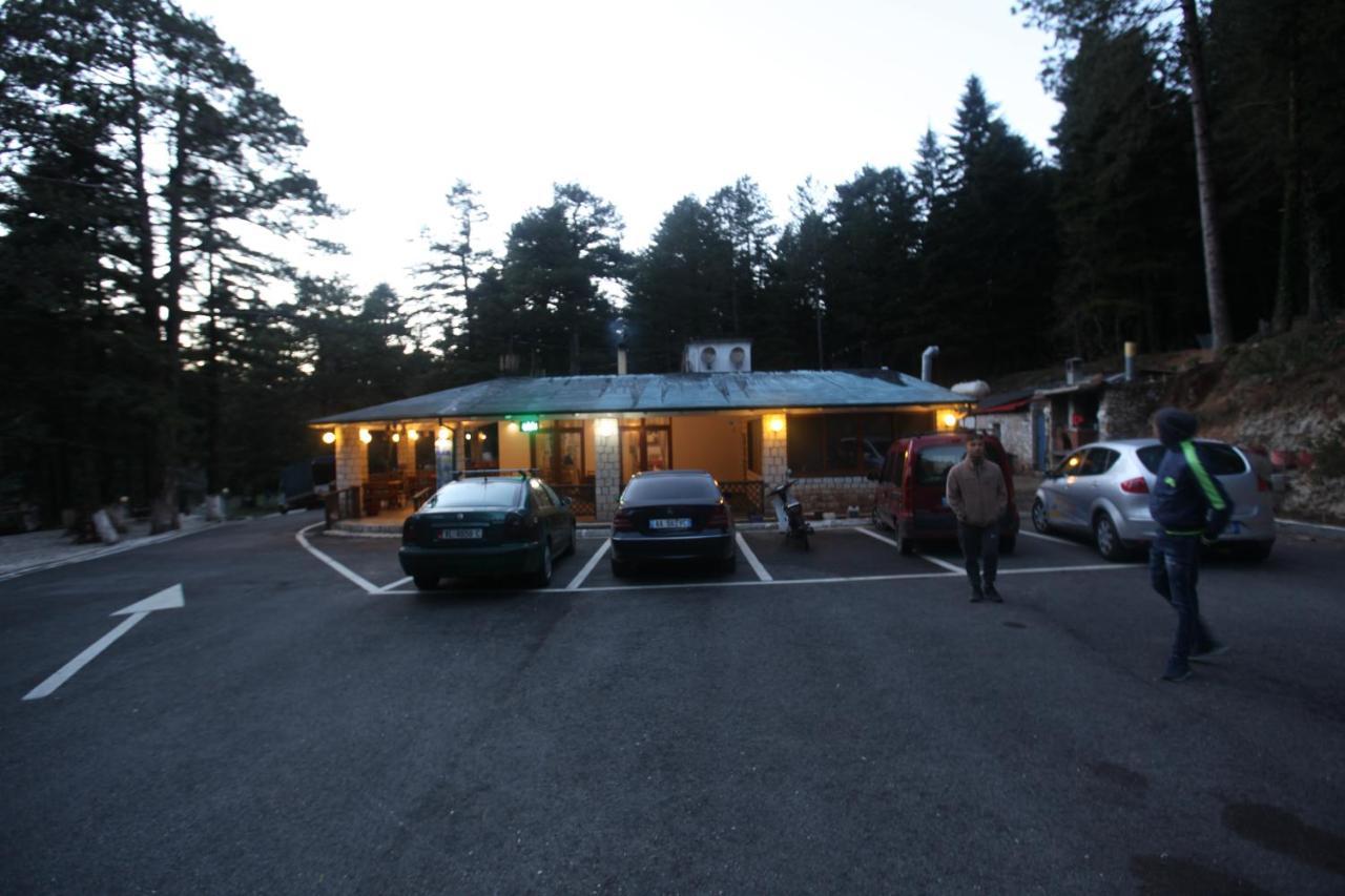 Hotel Bujtina Uji I Panjes, Log