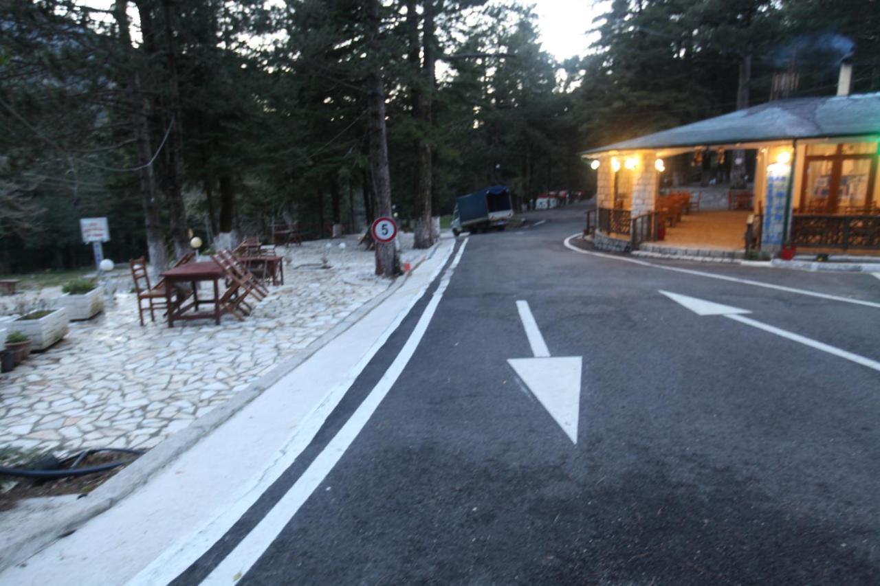 Bujtina Uji I Panjes, Log Hotel *