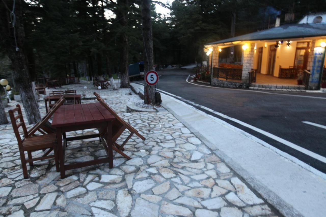 Bujtina Uji I Panjes, Log * Dukat