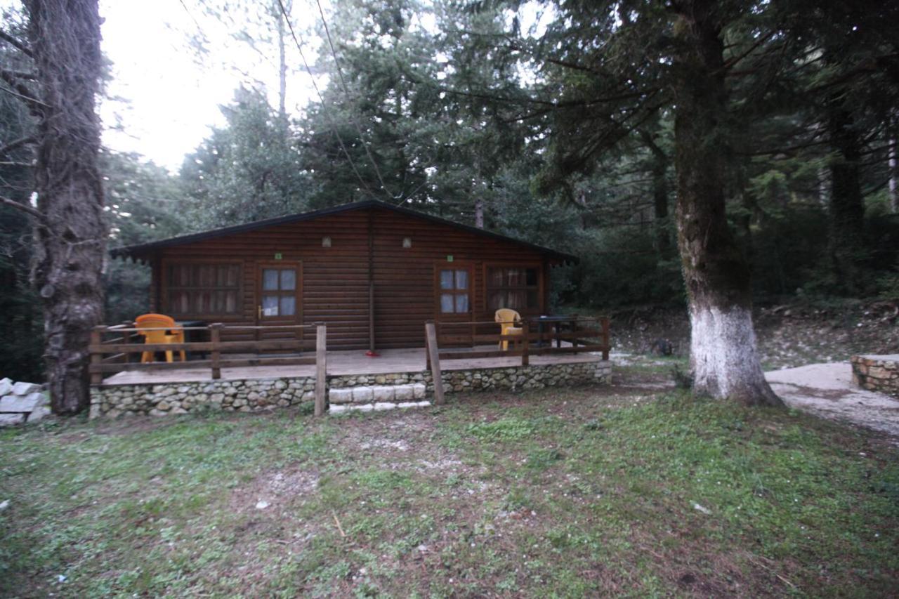 Bujtina Uji I Panjes, Log Dukat