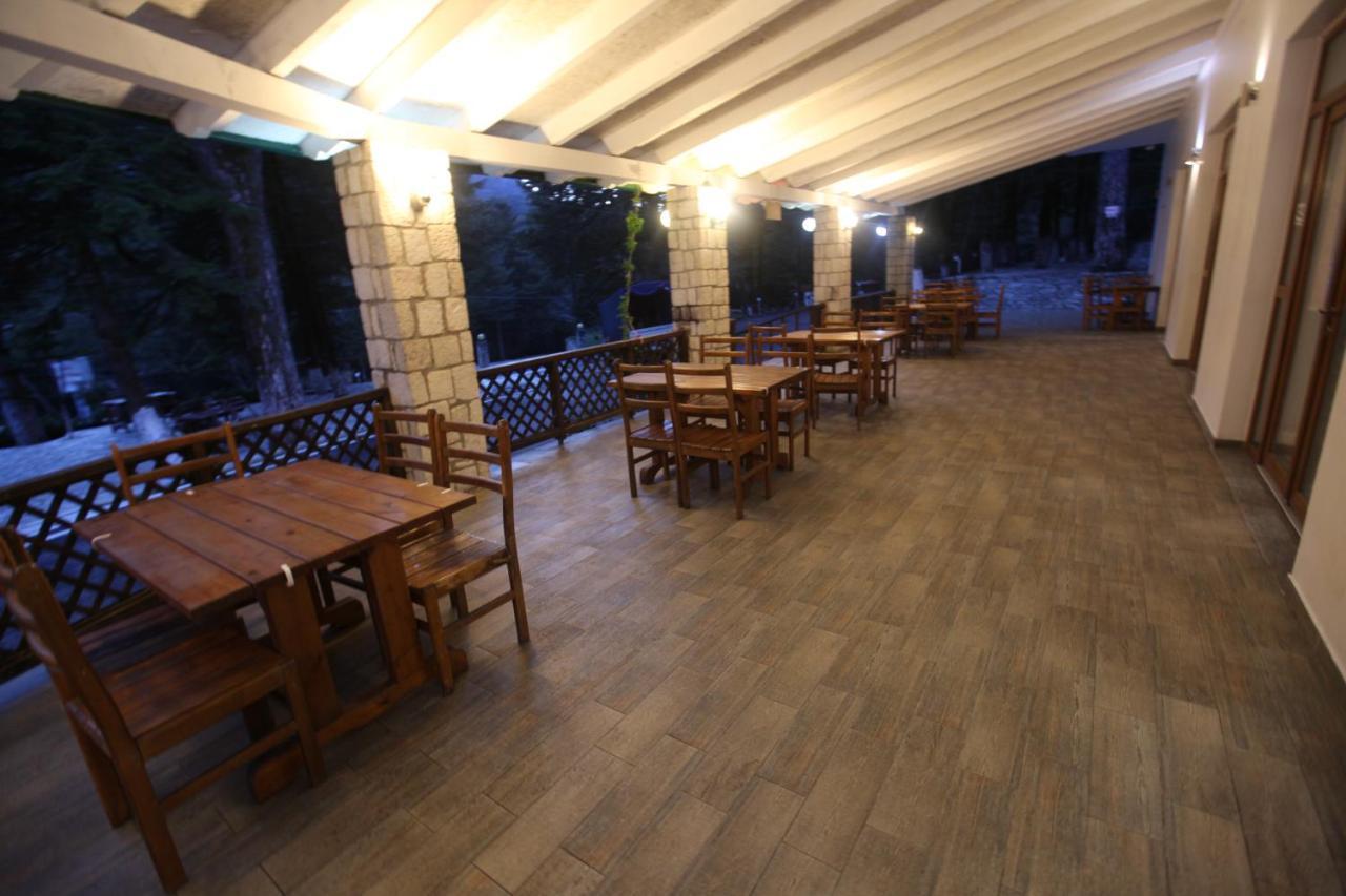 Bujtina Uji I Panjes, Log *