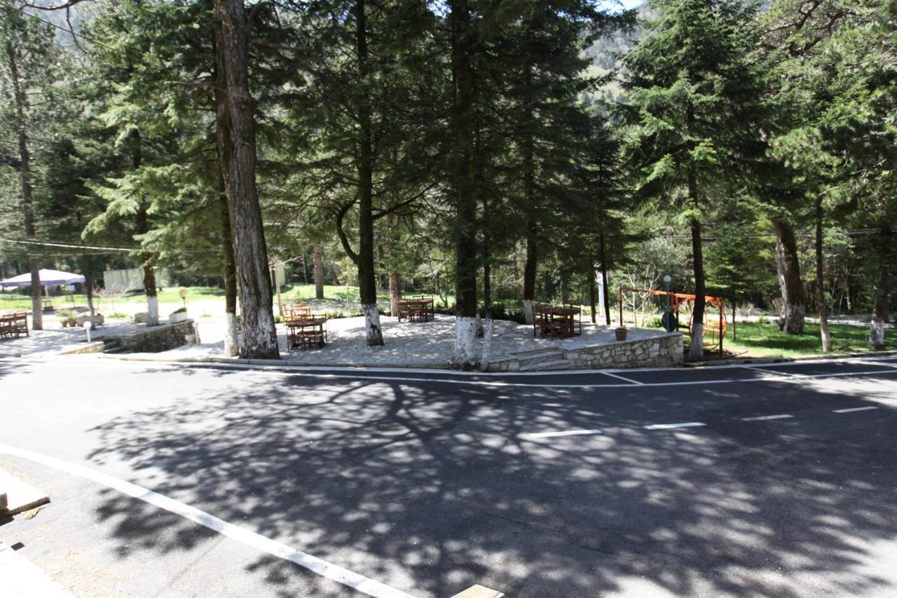 Hotel Bujtina Uji I Panjes, Log *