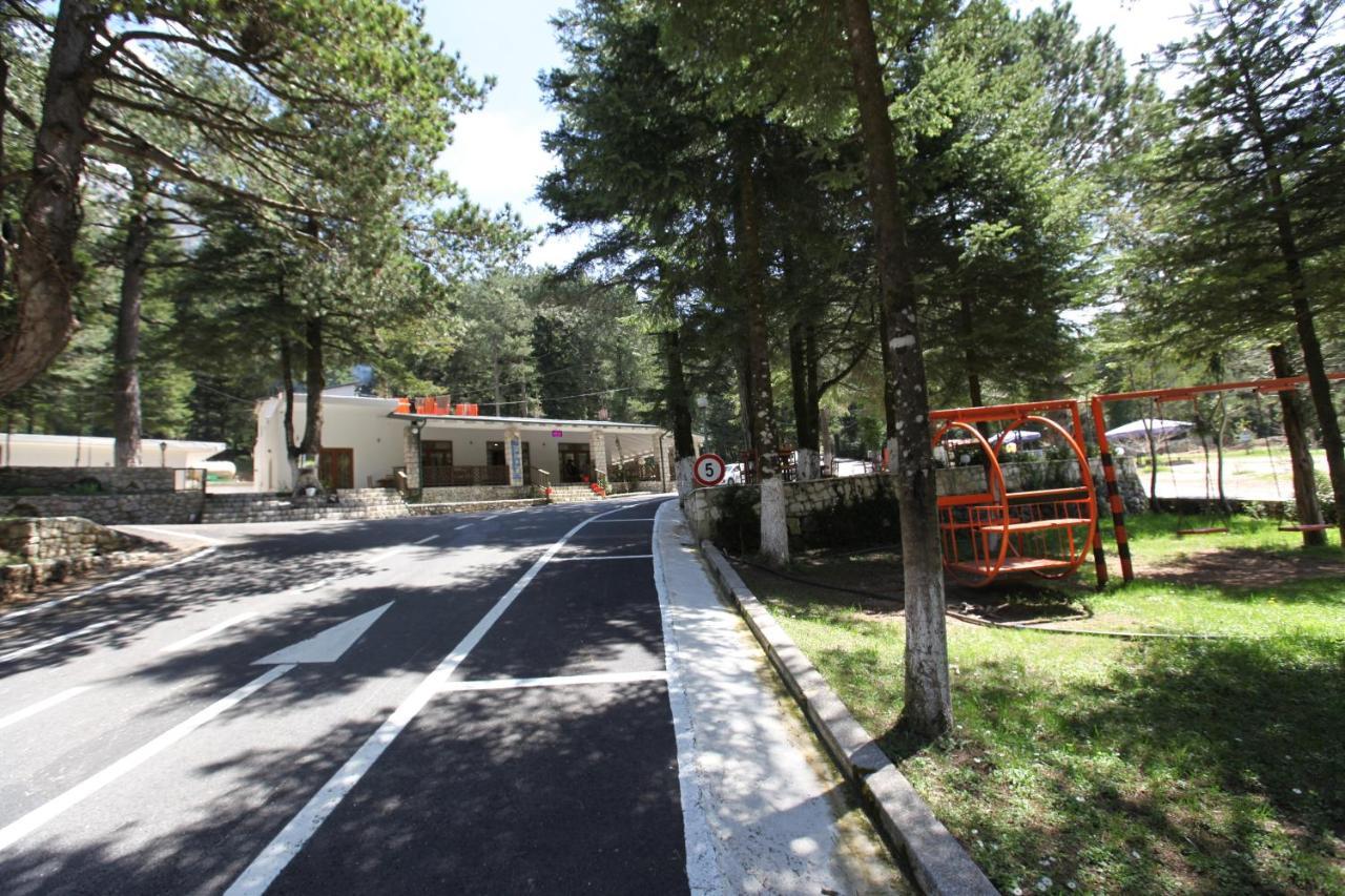 Bujtina Uji I Panjes, Log Dukat