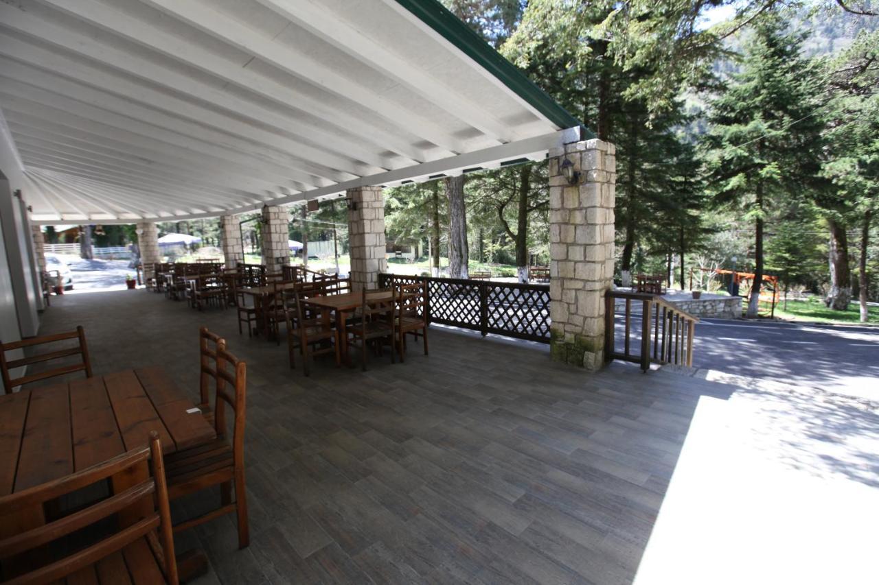 Hotel Bujtina Uji I Panjes, Log *
