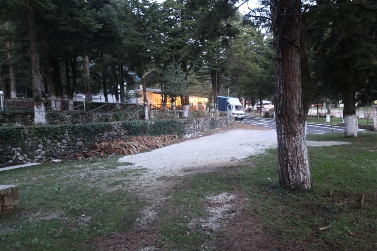 Bujtina Uji I Panjes, Log *