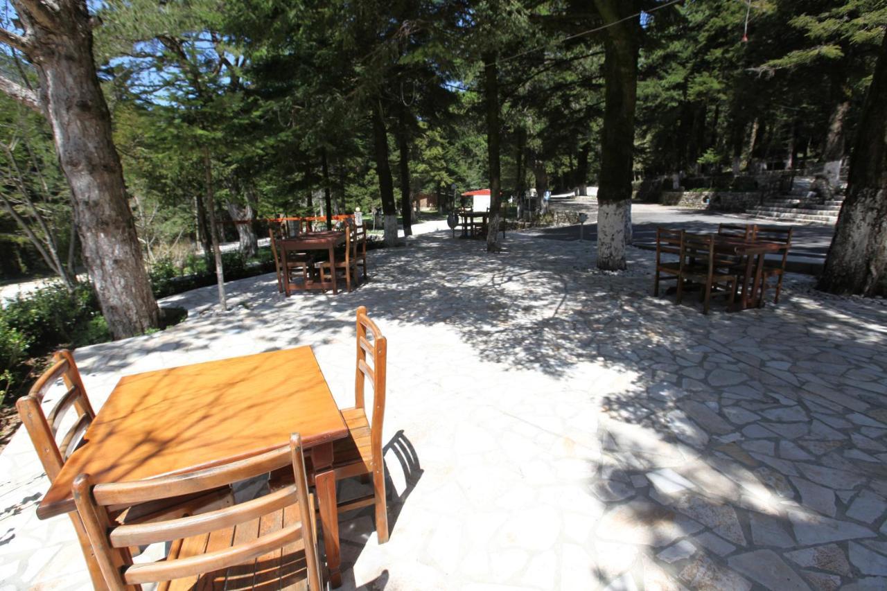 Bujtina Uji I Panjes, Log