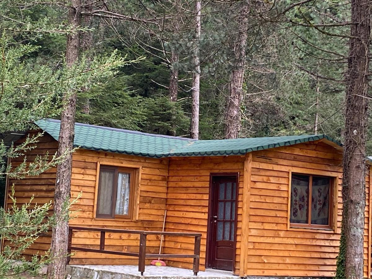 Hotel Bujtina Uji I Panjes, Log Dukat
