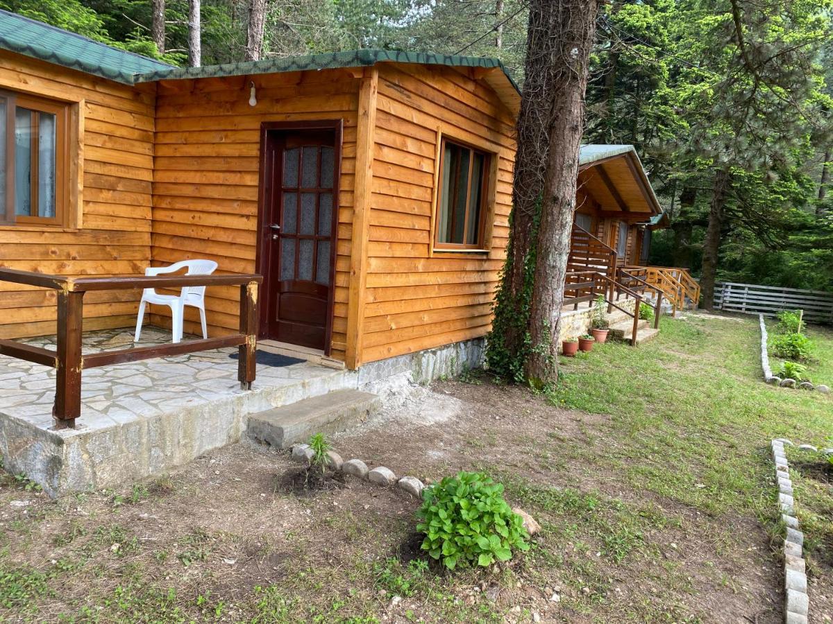 Hotel Bujtina Uji I Panjes, Log