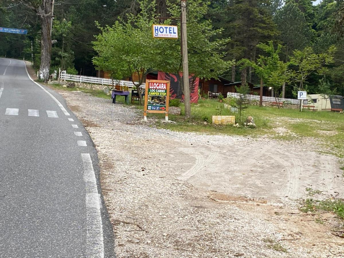 Bujtina Uji I Panjes, Log *