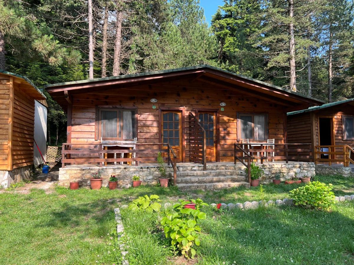 Bujtina Uji I Panjes, Log Hotel