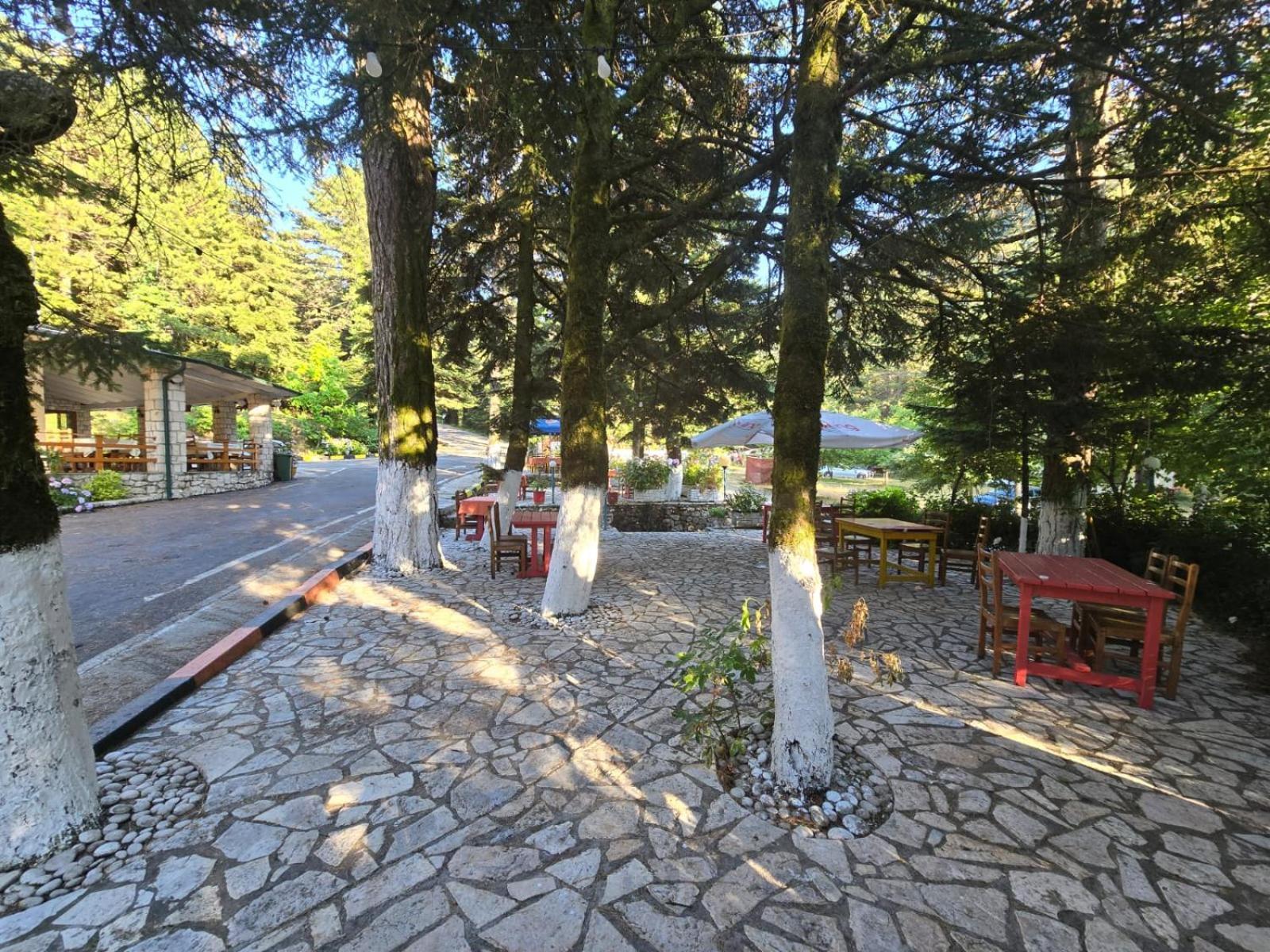 Bujtina Uji I Panjes, Log Dukat