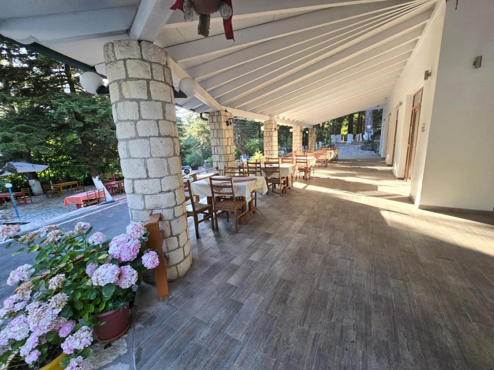 Bujtina Uji I Panjes, Log Hotel *