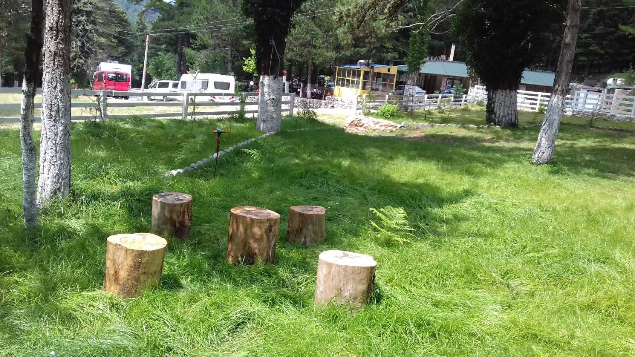 Bujtina Uji I Panjes, Log Hotel